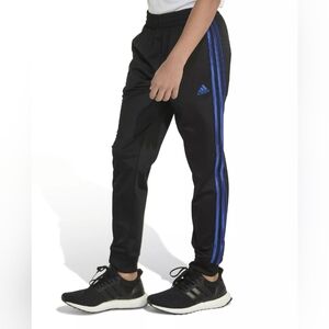 Adidas Youth Black W BlueTighot 22 Joggers